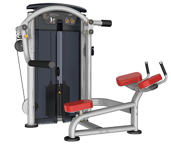 Фото ягодичные aerofit it9526